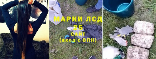 ГАЛЛЮЦИНОГЕННЫЕ ГРИБЫ Пересвет