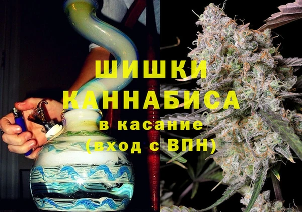 ГАЛЛЮЦИНОГЕННЫЕ ГРИБЫ Пересвет