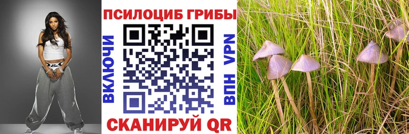 Галлюциногенные грибы ЛСД купить наркоту Бакал